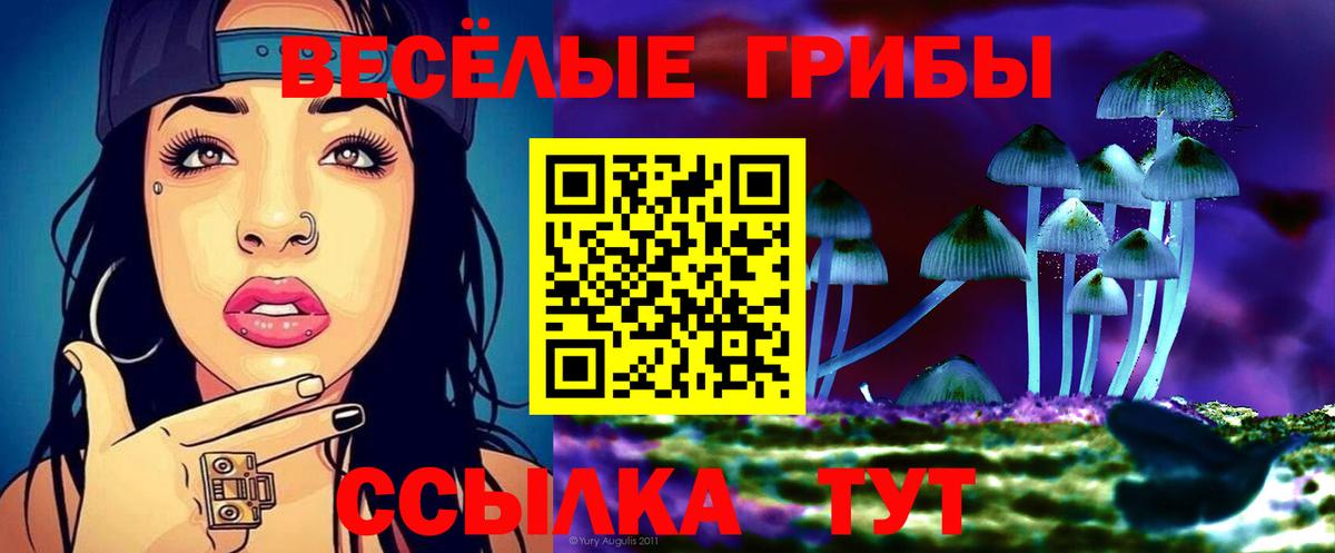 Галлюциногенные грибы мухоморы  Вход с VPN  Ставрополь  Псилоцибиновые грибы мицелий 