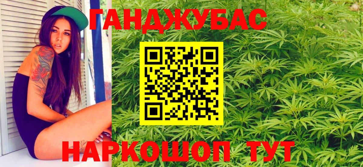 Бошки Шишки планчик Ставрополь